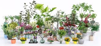 Archmodels Vol 173 Includes 56 Professional Highly Detailed 3d Models For Architectural Visualizations This Collection Plant Collection Plants Indoor Plants