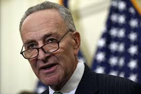 Schumer invites Avonte Oquendo's mother to State of the Union, urges  support for 'Avonte's Law'