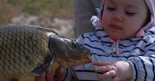Na rybkę do Ichtioparku