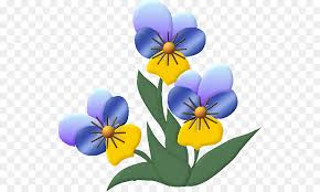 Blume Stiefmutterchen Clipart Veilchen Zeichnung Pflanze Blume Png Herunterladen 571 538 Kostenlos Transparent Blume Png Herunterladen
