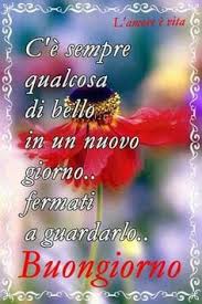 Pin Di Maria Mercaldi Su Buongiorno Buongiorno Immagini Citazioni Buongiorno