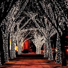 100 Led Solar Powered Fairy Lights 55 Ft Solar Fairy Lights Outdoor Christmas Christmas Lights