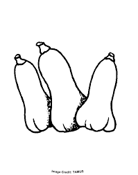 Winter squash will last up to a month in a cool (50 to 55 degrees f.) dark cellar or storage area, but only about 2 weeks in the refrigerator. Squash Coloring Sheets Google Search Coloring Sheets Color Sheets