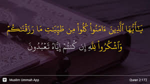 Bacaan surat al baqarah ayat ke 148 versi tulisan arab dan latin lengkap dengan arti/terjemahannya beserta tafsir dan isi kandungannya. Surah Al Baqarah Ayat 172 Qs 2 172 Tafsir Alquran Surah Nomor 2 Ayat 172