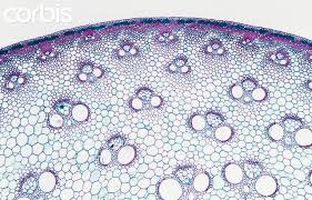 Pin Oleh Aerobe Di Ddes1160 Textiles Di 2021