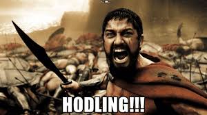 The best memes from instagram, facebook, vine, and twitter about bitcoin meme. Should You Hodl Bitcoin