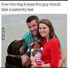 As Mans Best Friend I Feel He Should Say Something 9gag