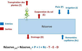 Amélioration de l'efficience de l'eau d'irrigation grâce au pilotage (Outil  Net-Irrig) — Triple Performance