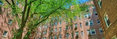 3 bedroom apartment midwood brooklyn. Midwood Brooklyn A Very Affordable Brooklyn Neighborhood