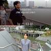 손석희 앵커와 함께 jtbc 뉴스룸을 이끌어가는 손석희 앵커의 오른팔, 안나경 앵커의 예능 출격! Https Encrypted Tbn0 Gstatic Com Images Q Tbn And9gctarcbu10lcgwllqisvslpte6xgly1vjcr9pzwcxrgkpgm Bs81 Usqp Cau