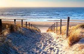 Our top picks lowest price first star rating and price top situated in kiawah island in the south carolina region, 4270 mariner's watch villa features a patio. Top 5 Best Beaches In Sc James Badia