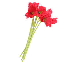 Le coquelicot ou papaver rhoeas (appelé également pavot des champs, pavot sauvage ou pavot rouge) appartient à la famille des papavéracées ou « pavots ». 8pcs Bouquet Coquelicot Fleur Artificielle En Tissu Decoration De Table Pour Maison Bureau Magasin Rouge Achat Vente Fleur Artificielle Cdiscount