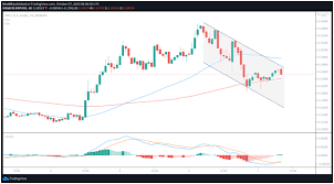 Where to sell xrp in the us. Regulatorische Hurden Konnten Ripple Aus Den Usa Verdrangen Sagt Der Vorstandsvorsitzende