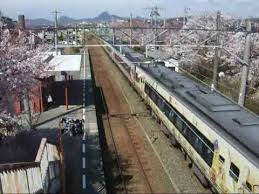 Jr四国 予讃線 粟井駅 しおかぜ アンパンマン列車 Wmv Train Road Highway