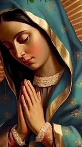 Mary luz Tabares (tabaresmaryluz12)