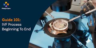 Check spelling or type a new query. From Start To Finish Of Ivf Process Jioforme Cov News Portal