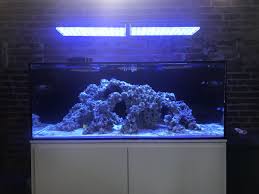 This article will help you understand what one is and review the best aquarium sumps. Aquascape Ideas Sps Reef Tank Aquascape