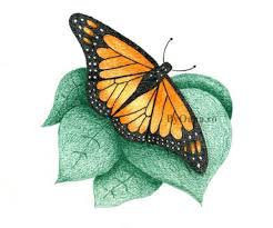 Găsește imagini cu creion desen. Fluture By Oana