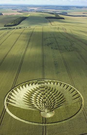 Uffington Castle, Oxfordshire | 8th July 2006 | Wheat L - Temporary Temples