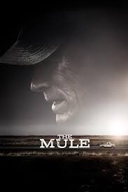 Ver Pelicula Completa Mula Ver Online Gratis Https Www Repelis Biz Latino Pelicula Com Peliculas Completas Gratis Ver Peliculas Online Peliculas Completas Hd