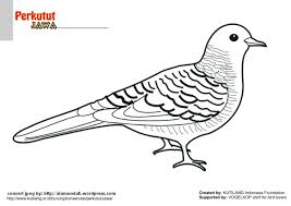 Gambar sketsa burung merpati pernikahan memang saat ini sedang banyak dicari oleh masyarakat disekitar kita, salah satunya anda. Mewarnai Burung Merpati