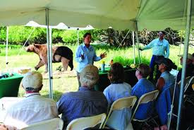 People and Carnivores looks at coexisting with bears