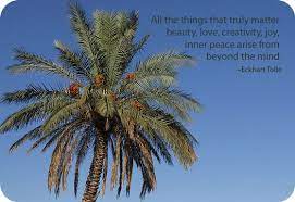 Love This Palm Tree Symbolism Palm Tree Quotes Meaning Of Palm