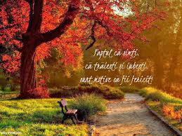 Un proces de realiniere și de grijă de sine în care. PicÄƒturi De Iubire Si LuminÄƒ BucurÄƒ Te De ViaÅ£Äƒ MulÅ£umeste Pentru Ea