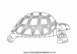 Free printable tortoise coloring pages and download free tortoise coloring pages along with coloring pages for other activities and coloring sheets. Tortoise Colouring Sheets Kids Puzzles And Games