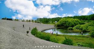 Di sekitar pantai laguna disediakan selter yang berfungsi sebagai tempat istirahat, berteduh, sekaligus menikmati panorama. Pesona Keindahan Wisata Pantai Laguna Lembupurwo Kebumen Thelastsurvivors