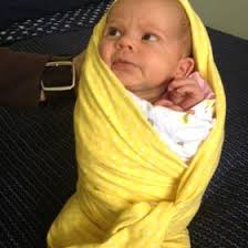 Jon Tracy (jondtracy)