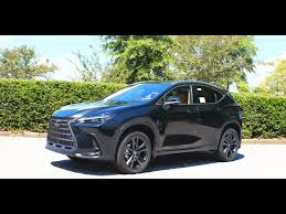 Image result for Caviar 2018 NX