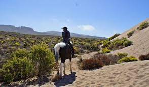 For the 2021 summer season, the headwaters horseback ride is not expected to operate. Morro Dunes Trail Riding The Slo County Trails Slo Horse News