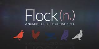 نتیجه جستجوی لغت [flock] در گوگل