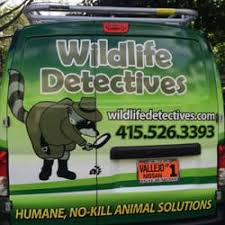 Pigeons are among the messiest of pests. Best Wildlife Removal Near Me April 2021 Find Nearby Wildlife Removal Reviews Yelp