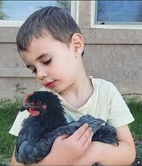 What are some unique rooster name suggestions?