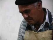 Ciclo del año en La Aldea: la zafra del tomate