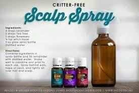 Lice Spray Living Essentials Oils Lice Spray Essential Oils Essential Oils For Lice