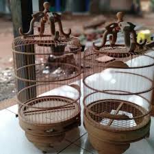 Yang ingin tau spesies burung sanger yang hidup diberbagai. Jual Sangkar Burung Pleci Model Bulat Kab Jepara Sangkarcraftjepara Tokopedia