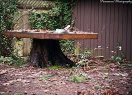 The Best And Weirdest Things You Can Do With A Tree Stump Tree Stump Table Tree Trunk Table Stump Table Outdoor