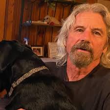 Why do political posts get more engagement than positive posts?