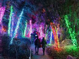 8 Best Neighborhoods To See Christmas Lights In Denver 2020 Tripstodiscover In 2020 Christmas Lights Denver Botanic Gardens Christmas Light Displays