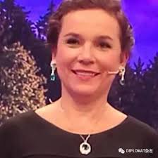 2017外交官服装赛外交官评委团Judges of Diplomats national costume competition