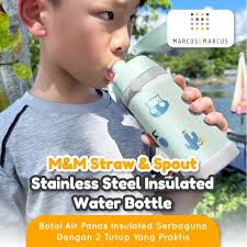 Jual Marcus & Marcus Straw & Spout Stainless Steel Insulated Water Bottle