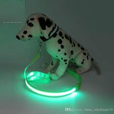 2020 Nylon Led Light Up Dog Leash Night Safety Led Flashing Glow In Dark Dog Collar Pet Supplies Drawing Small Lead Led Dog Leash From China Wholesale10 2 63 Dhgate Com