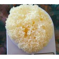 We did not find results for: White Fungus Kulat Putih Cendawan Putih Ready Stock Shopee Malaysia