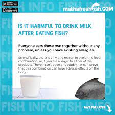 Matha Fresh Fish Fish Fact Is It Harmful To Drink Milk After Eating Fish Fishmyth Fish Mythbusters Mythbusting Fishwithmilk Foodfacts Foodstory Fish Fishcurry Facebook