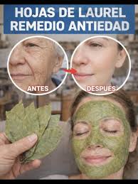 El extracto de laurel es 100.000 veces más potente que el Botox. Incluso a  los 70 años les borra todas las arrugas.Para 👀👇, seguir recibiendo mis  recetas, solo debes decir algo ¡Gracias!😍✨, ...