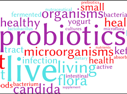 See the first step you need to take. A Natural Remedy For Yeast Infection That Works Every Time
