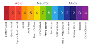 To raise the ph of your water, you can run the water through a neutralizing filter which is a tank similar to a water softener tank with a media drinking alkaline water has some disadvantages to it. Blue Green Staining From Low Ph Water H2o Care